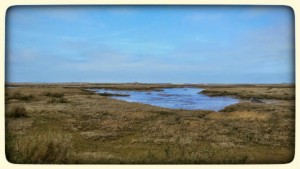 Marshes